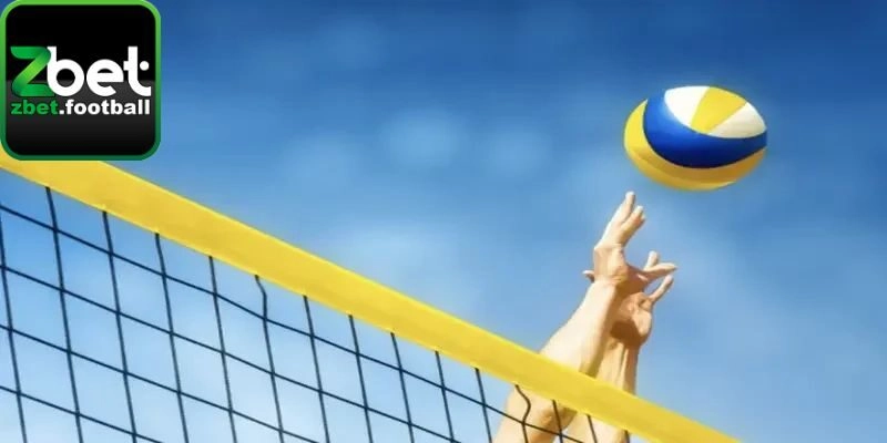 Cá Cược Bóng Chuyền – Siêu Phẩm Giải Trí Vạn Người Mê